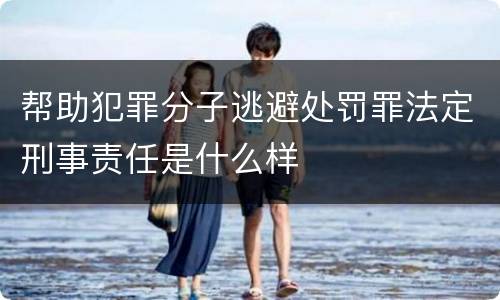 帮助犯罪分子逃避处罚罪法定刑事责任是什么样