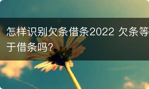 怎样识别欠条借条2022 欠条等于借条吗?