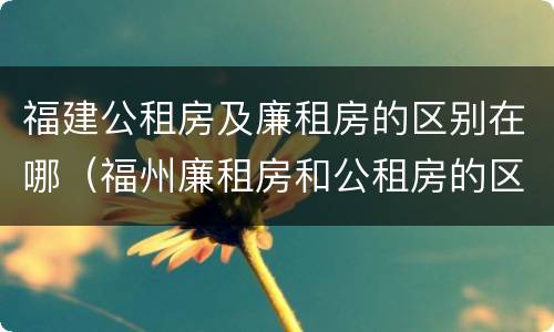 福建公租房及廉租房的区别在哪（福州廉租房和公租房的区别）