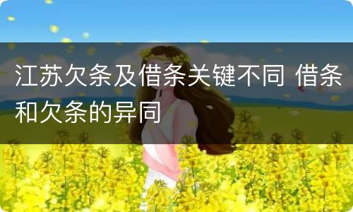 江苏欠条及借条关键不同 借条和欠条的异同