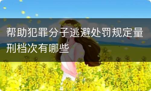 帮助犯罪分子逃避处罚规定量刑档次有哪些