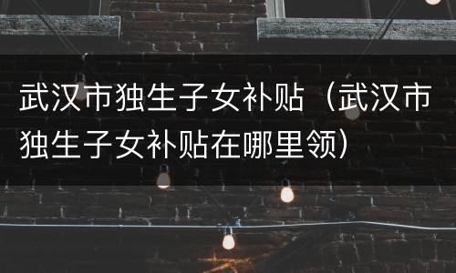 武汉市独生子女补贴（武汉市独生子女补贴在哪里领）