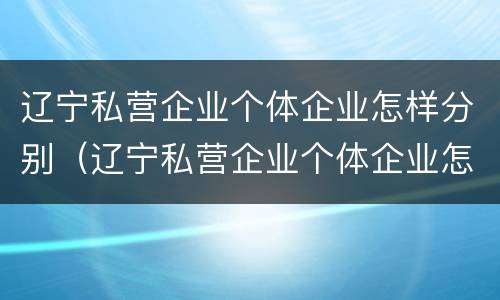 辽宁私营企业个体企业怎样分别（辽宁私营企业个体企业怎样分别认定）