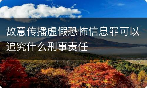 故意传播虚假恐怖信息罪可以追究什么刑事责任