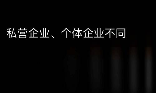 私营企业、个体企业不同