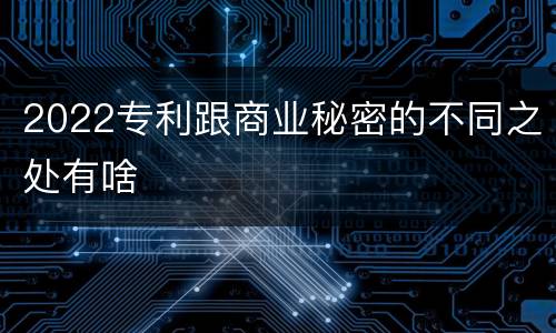 2022专利跟商业秘密的不同之处有啥