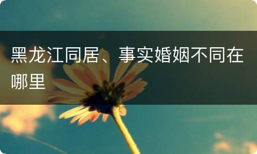 黑龙江同居、事实婚姻不同在哪里