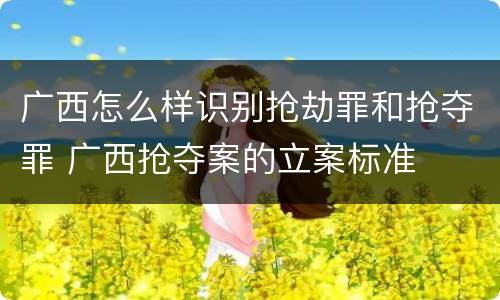 广西怎么样识别抢劫罪和抢夺罪 广西抢夺案的立案标准