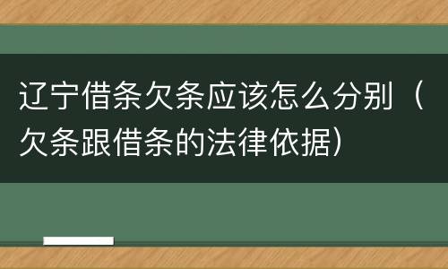 辽宁借条欠条应该怎么分别（欠条跟借条的法律依据）