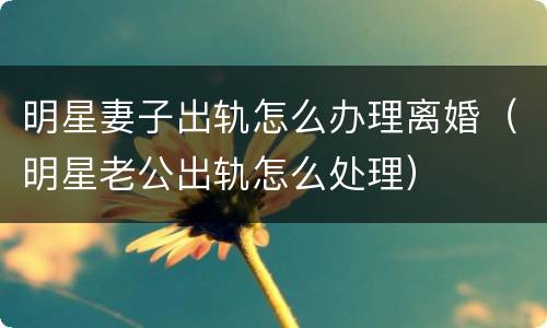 明星妻子出轨怎么办理离婚（明星老公出轨怎么处理）