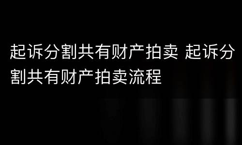 起诉分割共有财产拍卖 起诉分割共有财产拍卖流程