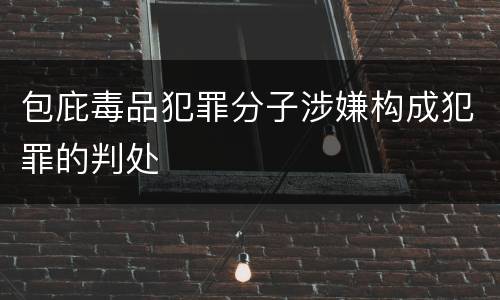 包庇毒品犯罪分子涉嫌构成犯罪的判处