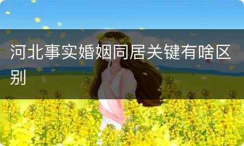 河北事实婚姻同居关键有啥区别