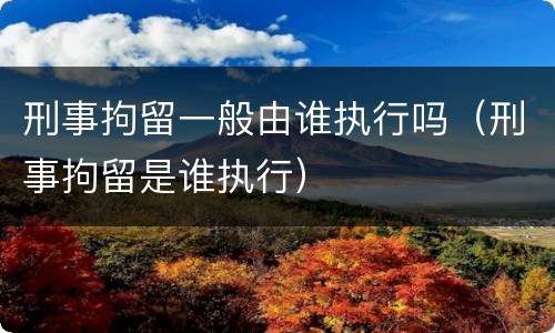 刑事拘留一般由谁执行吗（刑事拘留是谁执行）