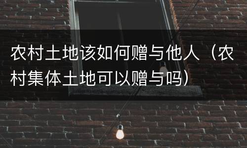 农村土地该如何赠与他人（农村集体土地可以赠与吗）