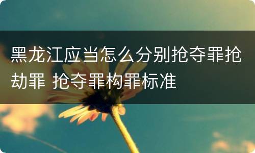 黑龙江应当怎么分别抢夺罪抢劫罪 抢夺罪构罪标准