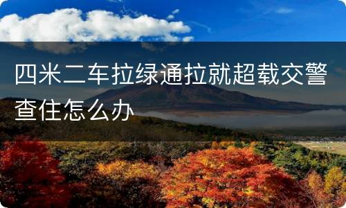 四米二车拉绿通拉就超载交警查住怎么办