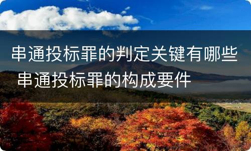 串通投标罪的判定关键有哪些 串通投标罪的构成要件