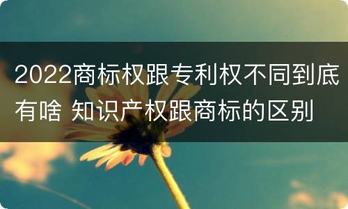 2022商标权跟专利权不同到底有啥 知识产权跟商标的区别