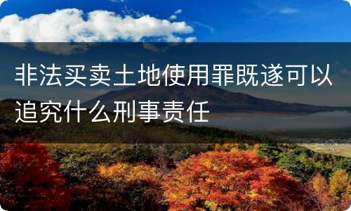 非法买卖土地使用罪既遂可以追究什么刑事责任