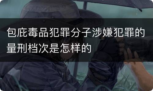 包庇毒品犯罪分子涉嫌犯罪的量刑档次是怎样的