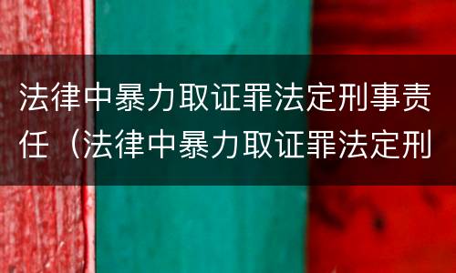 法律中暴力取证罪法定刑事责任（法律中暴力取证罪法定刑事责任的认定）