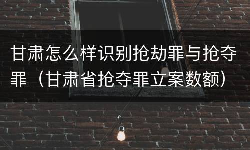 甘肃怎么样识别抢劫罪与抢夺罪（甘肃省抢夺罪立案数额）