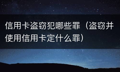 信用卡盗窃犯哪些罪（盗窃并使用信用卡定什么罪）