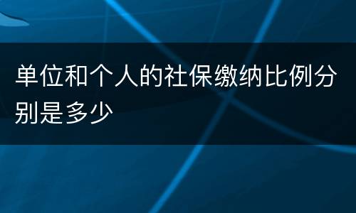 单位和个人的社保缴纳比例分别是多少