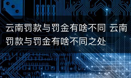 云南罚款与罚金有啥不同 云南罚款与罚金有啥不同之处