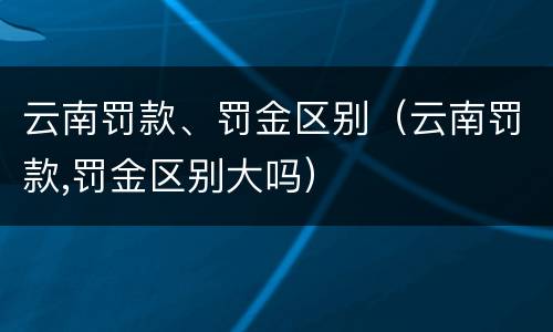 云南罚款、罚金区别（云南罚款,罚金区别大吗）