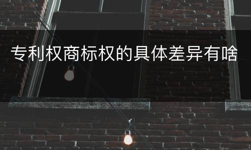 专利权商标权的具体差异有啥