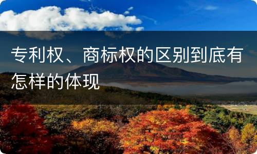 专利权、商标权的区别到底有怎样的体现