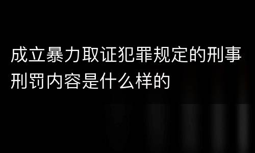 成立暴力取证犯罪规定的刑事刑罚内容是什么样的