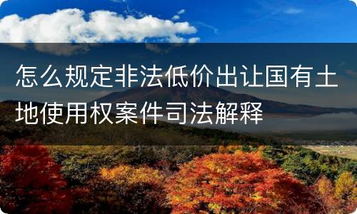 怎么规定非法低价出让国有土地使用权案件司法解释