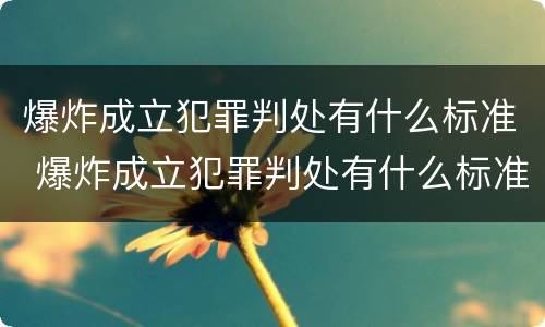爆炸成立犯罪判处有什么标准 爆炸成立犯罪判处有什么标准吗