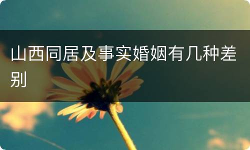 山西同居及事实婚姻有几种差别