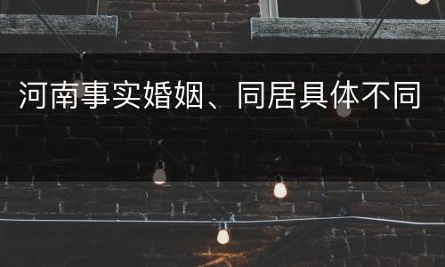 河南事实婚姻、同居具体不同