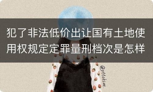 犯了非法低价出让国有土地使用权规定定罪量刑档次是怎样