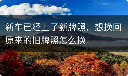 新车已经上了新牌照，想换回原来的旧牌照怎么换