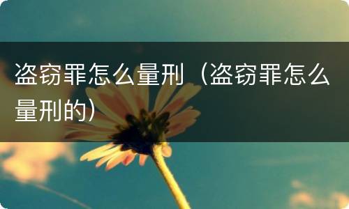 盗窃罪怎么量刑（盗窃罪怎么量刑的）