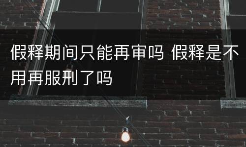 假释期间只能再审吗 假释是不用再服刑了吗