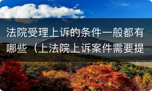 法院受理上诉的条件一般都有哪些（上法院上诉案件需要提交什么手续）