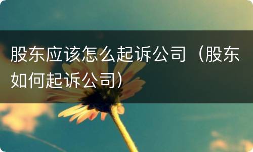 股东应该怎么起诉公司（股东如何起诉公司）