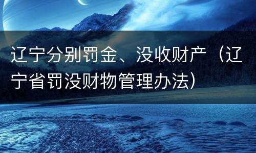 辽宁分别罚金、没收财产（辽宁省罚没财物管理办法）