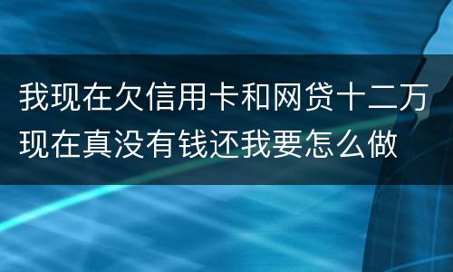 我现在欠信用卡和网贷十二万现在真没有钱还我要怎么做