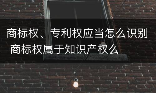 商标权、专利权应当怎么识别 商标权属于知识产权么