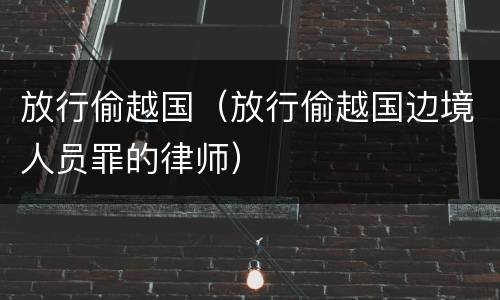 放行偷越国（放行偷越国边境人员罪的律师）