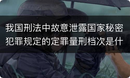 我国刑法中故意泄露国家秘密犯罪规定的定罪量刑档次是什么