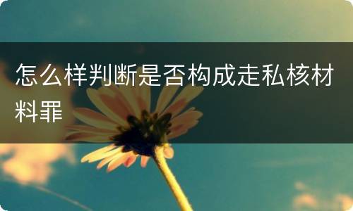 怎么样判断是否构成走私核材料罪